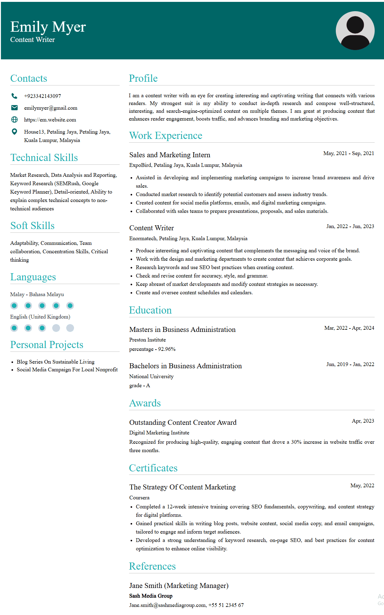 Professional Polished Resume Template